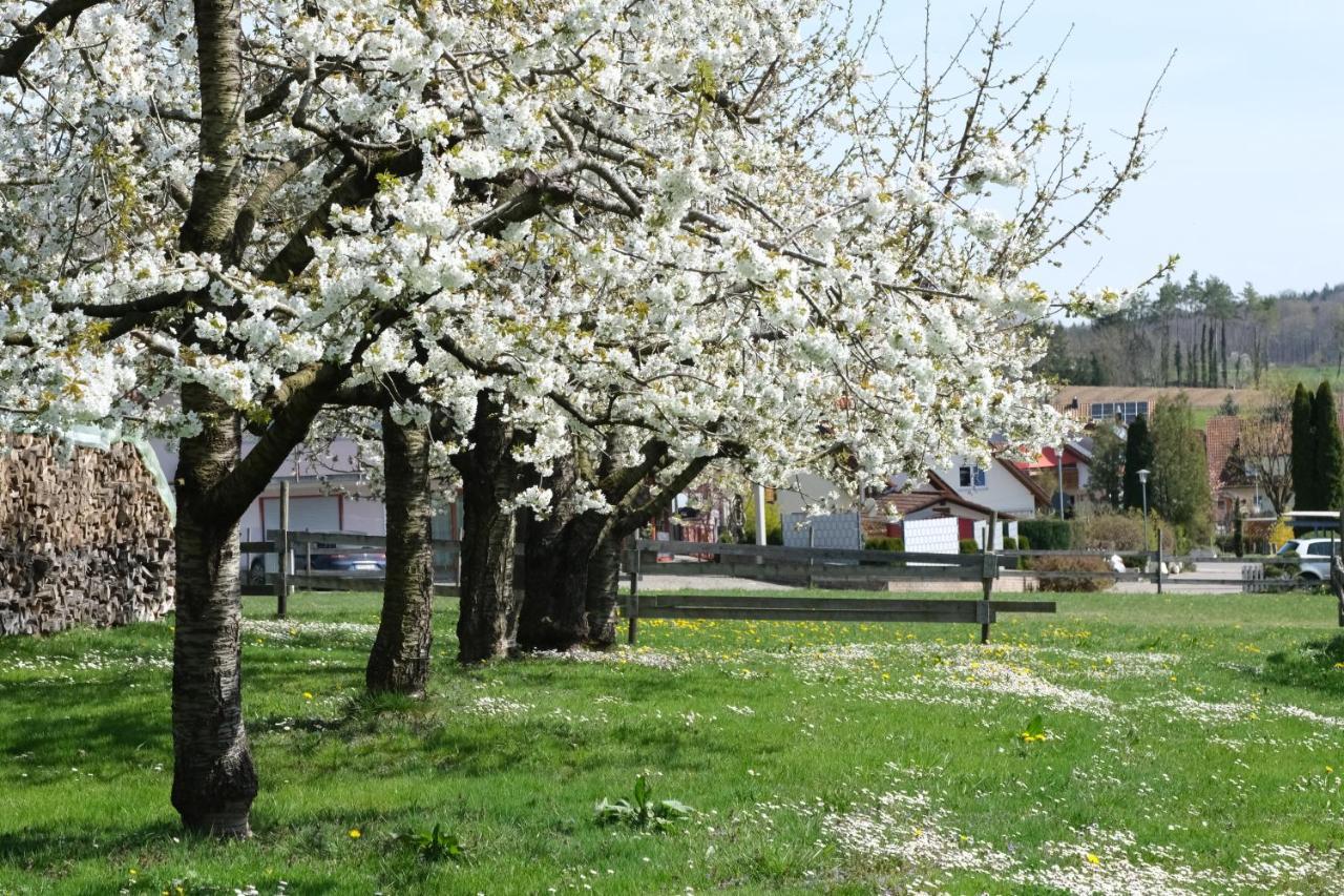 Ferienhof Schwehr Salem  Buitenkant foto
